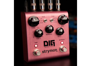 Strymon DIG