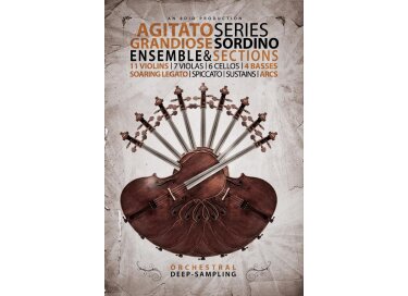 8dio Agitato Sordino Strings