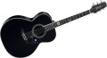 Takamine lance une nouvelle édition limitée