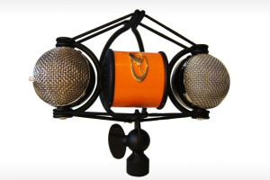 JZ Microphones The Flamingo Stereo