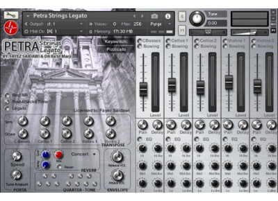 Findasound Petra Strings Legato