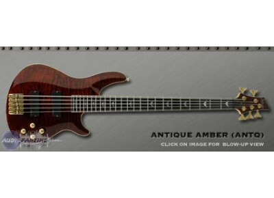 Schecter C-5