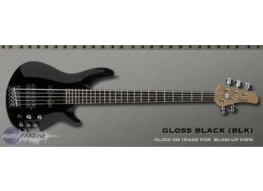 Schecter CV-5 (2004)