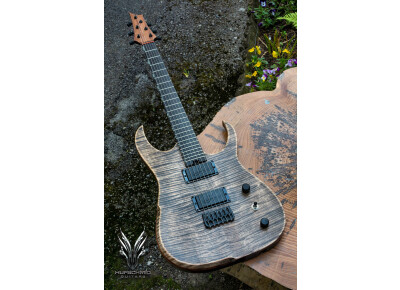 Hufschmid Guitars H6 'Winter'