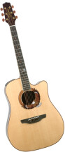 Takamine LTD2003 Bald Eagle
