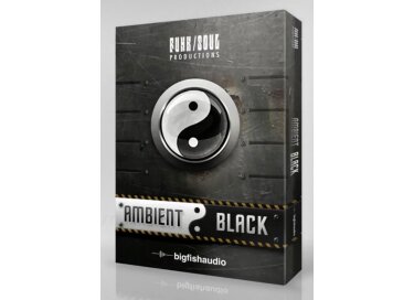 Big Fish Audio Ambient Black