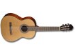 Cort AC200