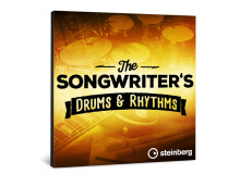 Steinberg The Songwriter's