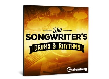 Steinberg The Songwriter's