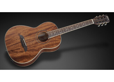 Framus Legacy FP 14 M E