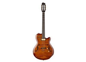 Godin Jazz