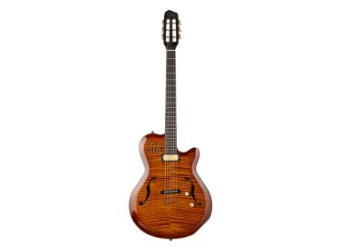 Godin Jazz
