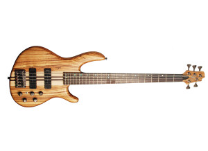 Cort Artisan A5-Custom Z