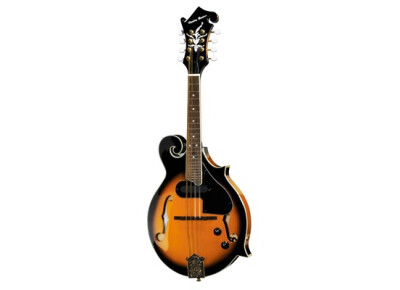 Harley Benton MA-100E