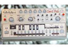 Roland TB-303 Devil Fish