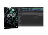 vends expansion Native Instruments Lone Forest