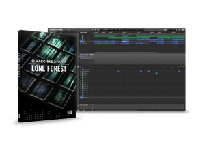Native Instruments Lone Forest
