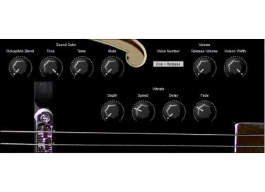 Karoryfer Shinyguitar