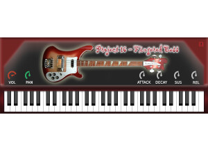 BIGcat Instruments Project 16 Fingered Bass