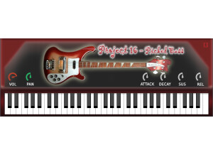 BIGcat Instruments Project 16 Picked Bass