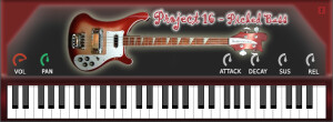 BIGcat Instruments Project 16 Picked Bass