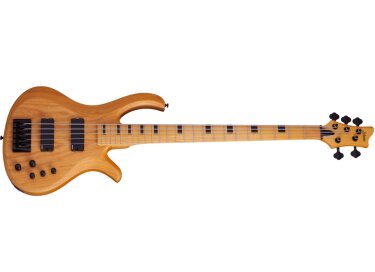 Schecter Riot-5 Session
