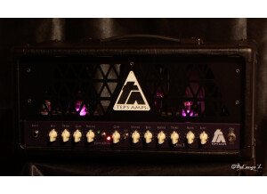 Tep's Art Dual Tone