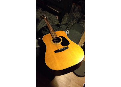 Epiphone FR-100