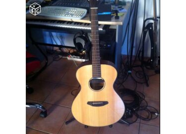 Breedlove Discovery Concert