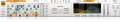 Polytek génère des patterns dans Live