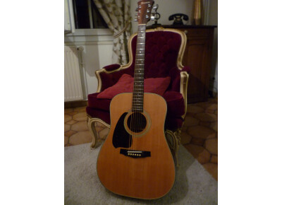 Ibanez V300L