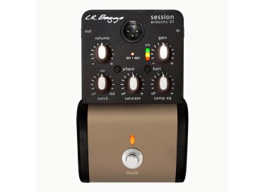 L.R. Baggs Session DI
