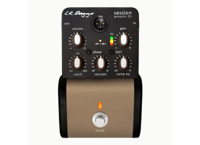 L.R. Baggs Session DI