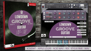 In Session Audio Lowdown Groove Guitar