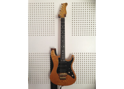 Valley Arts Guitars Custom Pro US