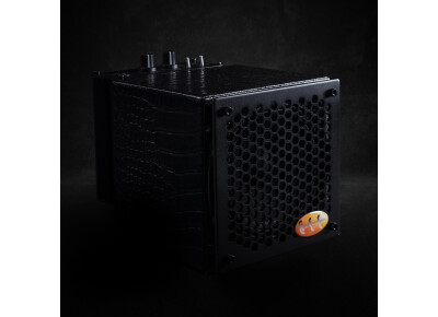 Guitar Sound Systems 05G200