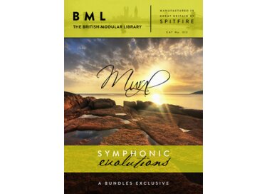 Spitfire Audio Mural Symphonic Evolutions