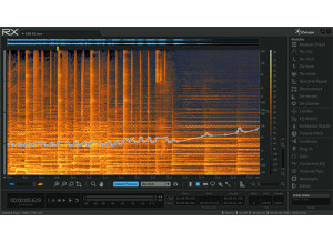 iZotope RX 5 Advanced Audio Editor