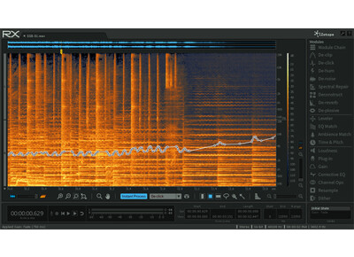 iZotope RX 5 Advanced Audio Editor