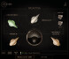 Sly-Fi Digital updates Kaya to v1.0.3
