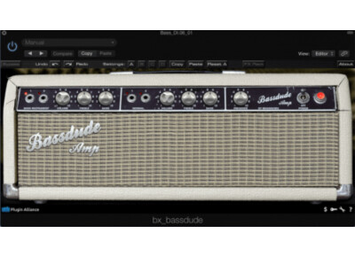 Brainworx bx_bassdude