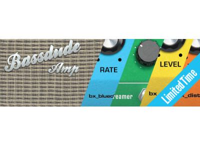 Brainworx Classic Guitar Tones Bundle