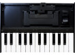 Roland K-25m