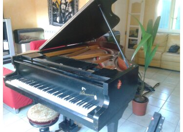 Danemann Concert grand piano