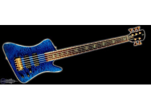 Spector Rex-5USA