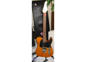 Schecter PT USA