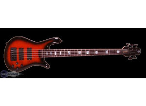 Spector ReBop 5 DLX