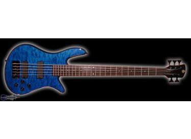 Spector Pro Q5