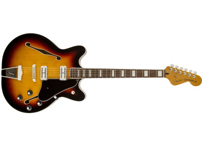 Fender Special Edition Coronado Guitar