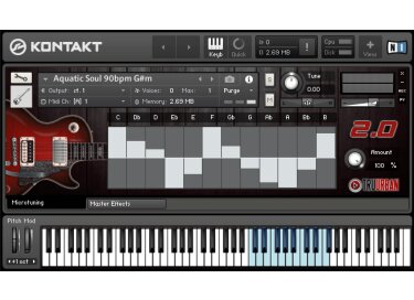 Tru Urban Urban-Pro Guitar 2